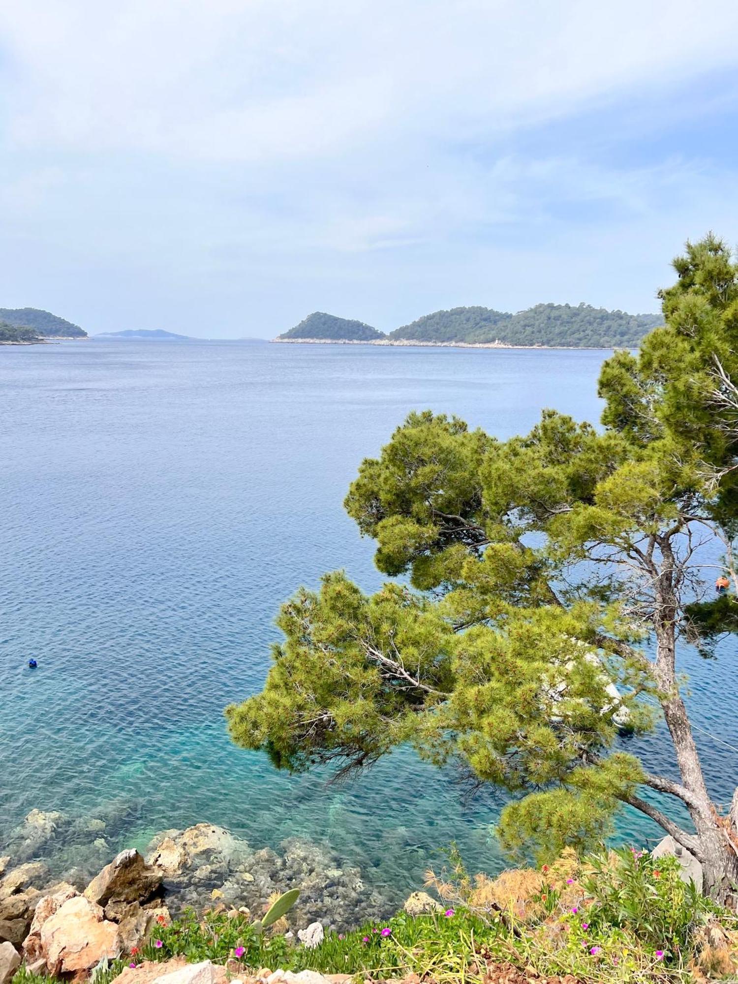 Terrace Studios With Panoramic Seaview Uble Exterior foto